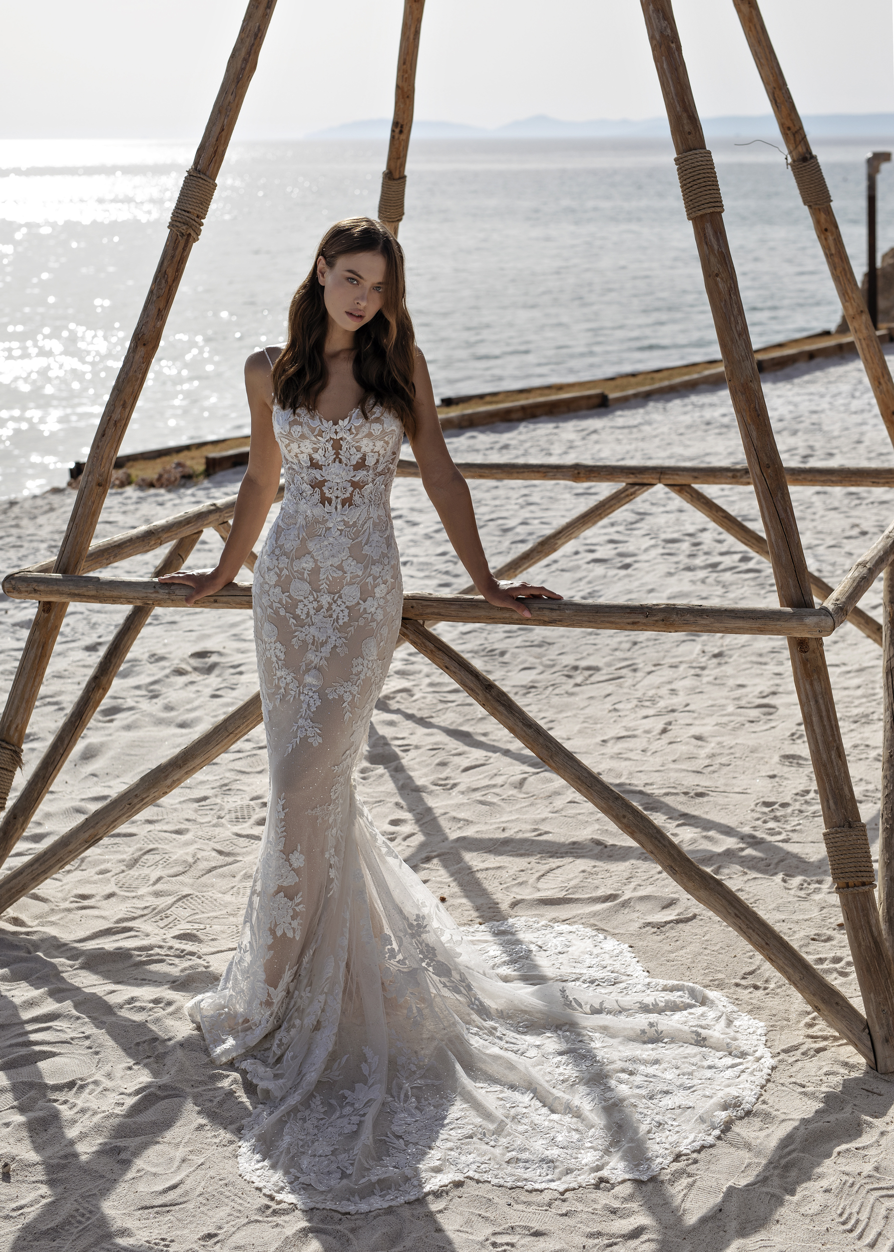 Papillon 2022 Omaya Afront 6014