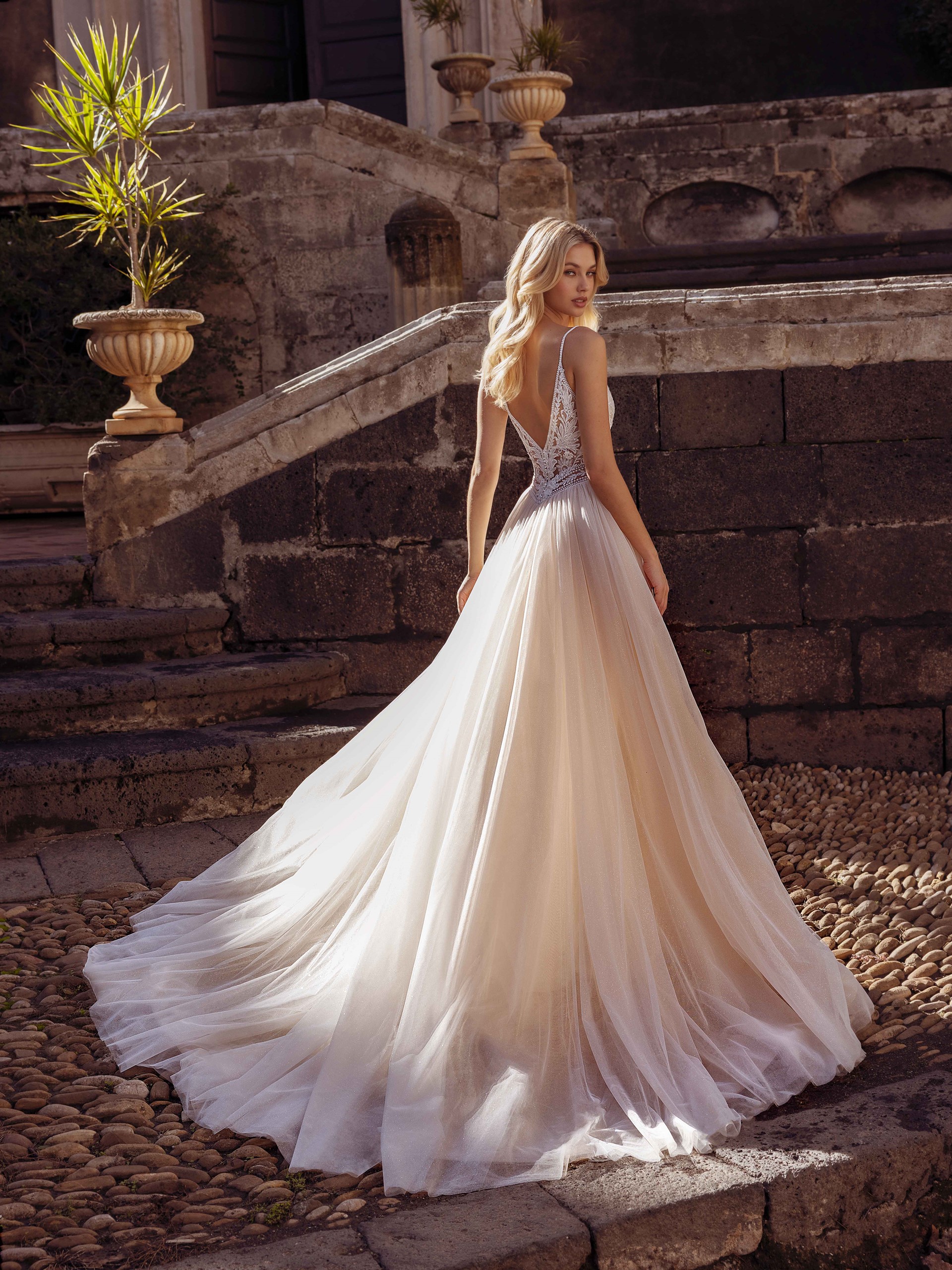 Revelation Collection Reza Back 03 IMG 5779