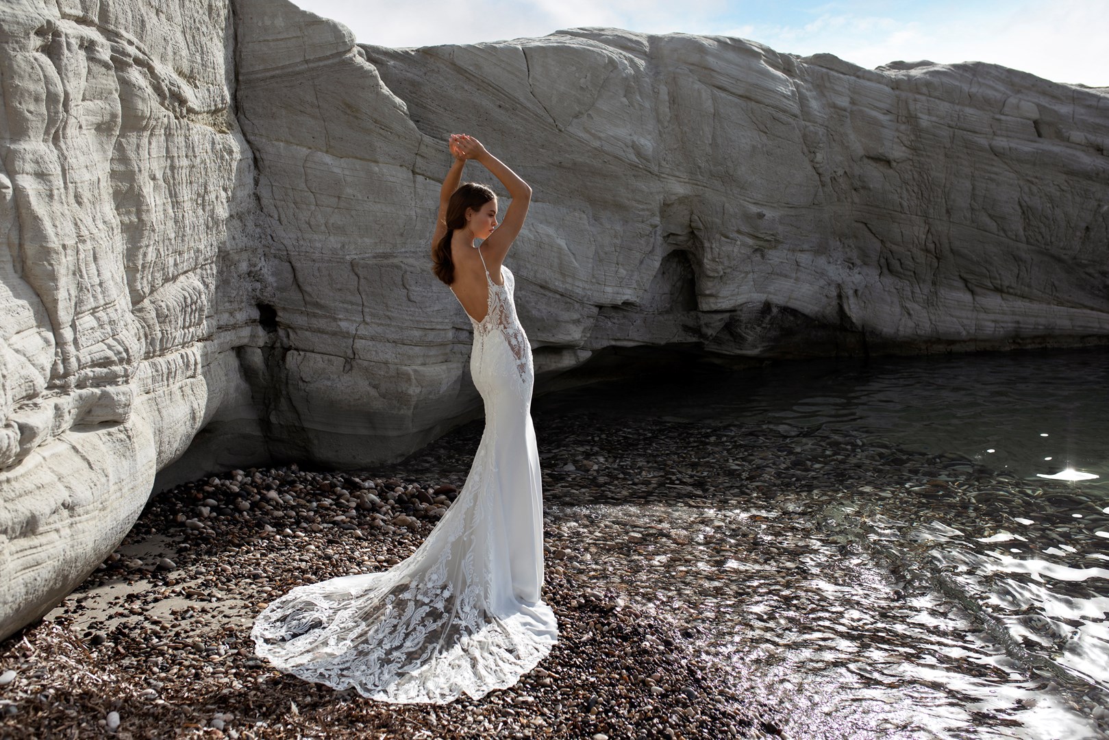 Papillon 2022 Onyx Back 2 1041