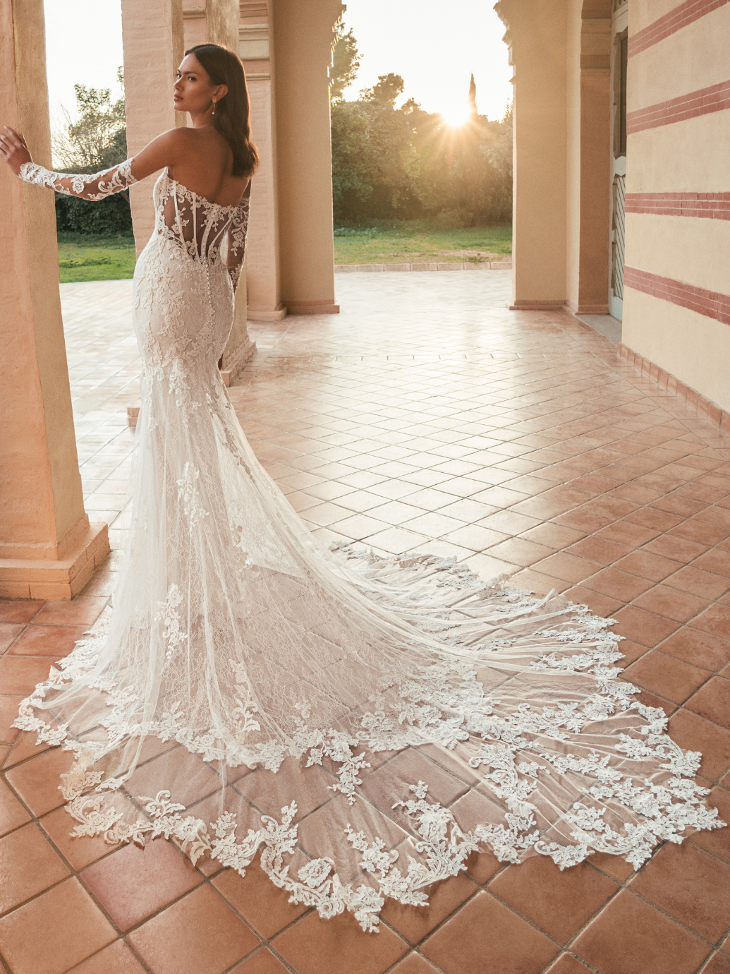 27 Blue Web UMAYRA Bac