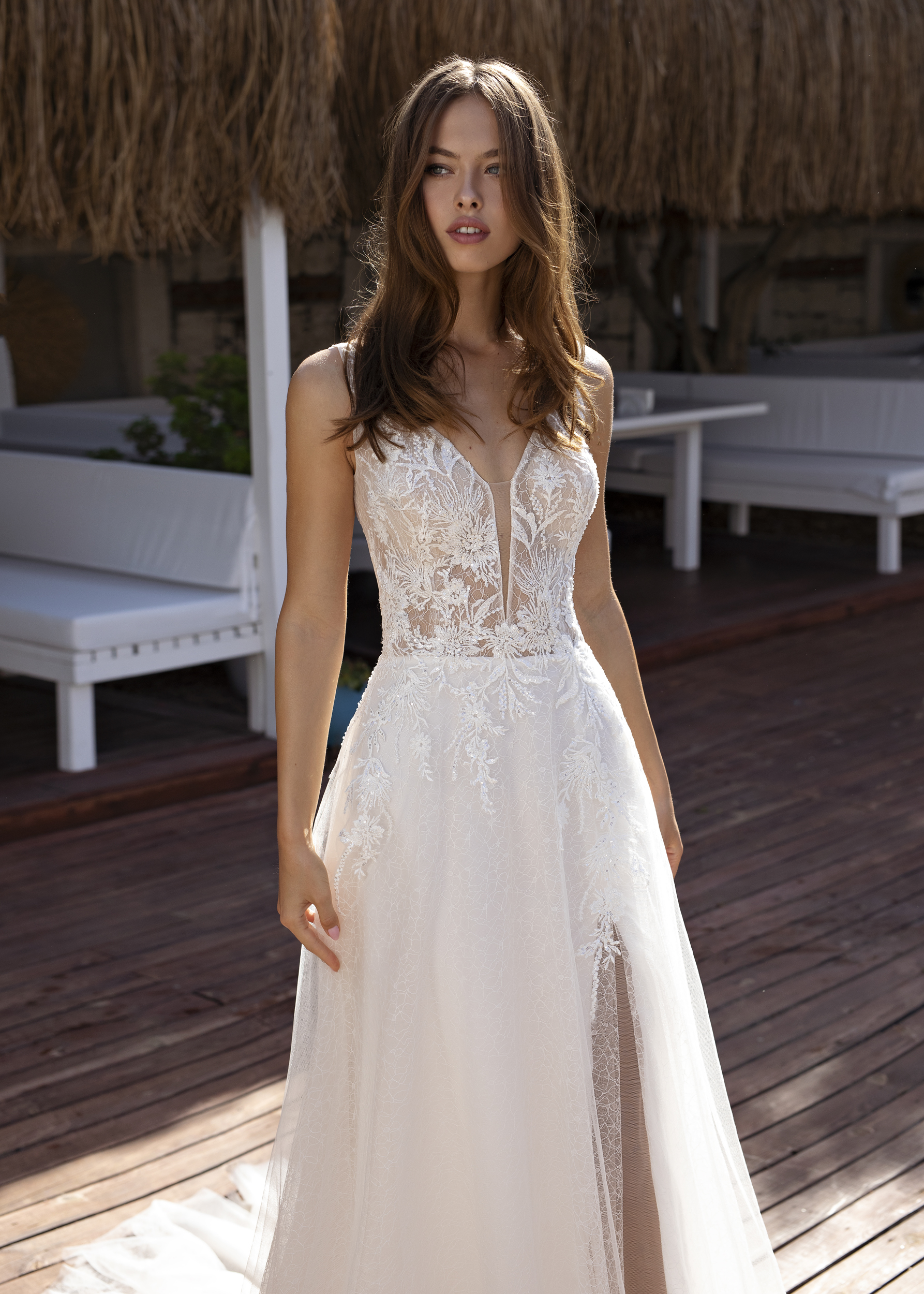 Papillon 2022 Odile CU Front 3475