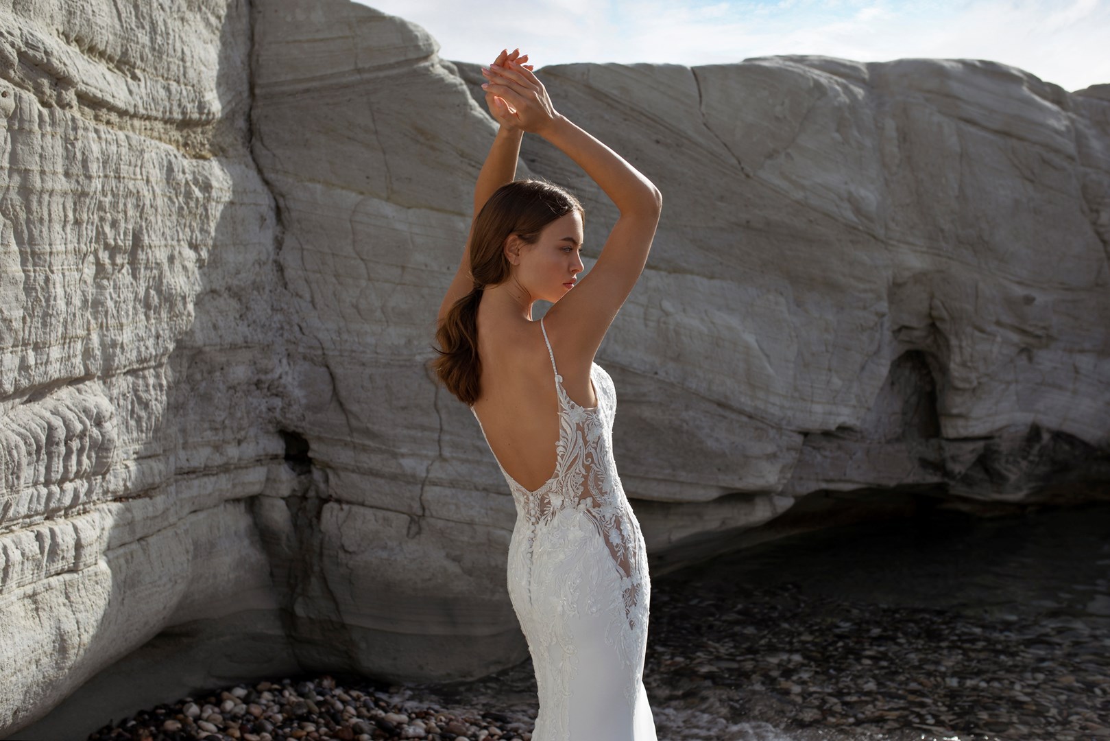 Papillon 2022 Onyx CU Back 1008