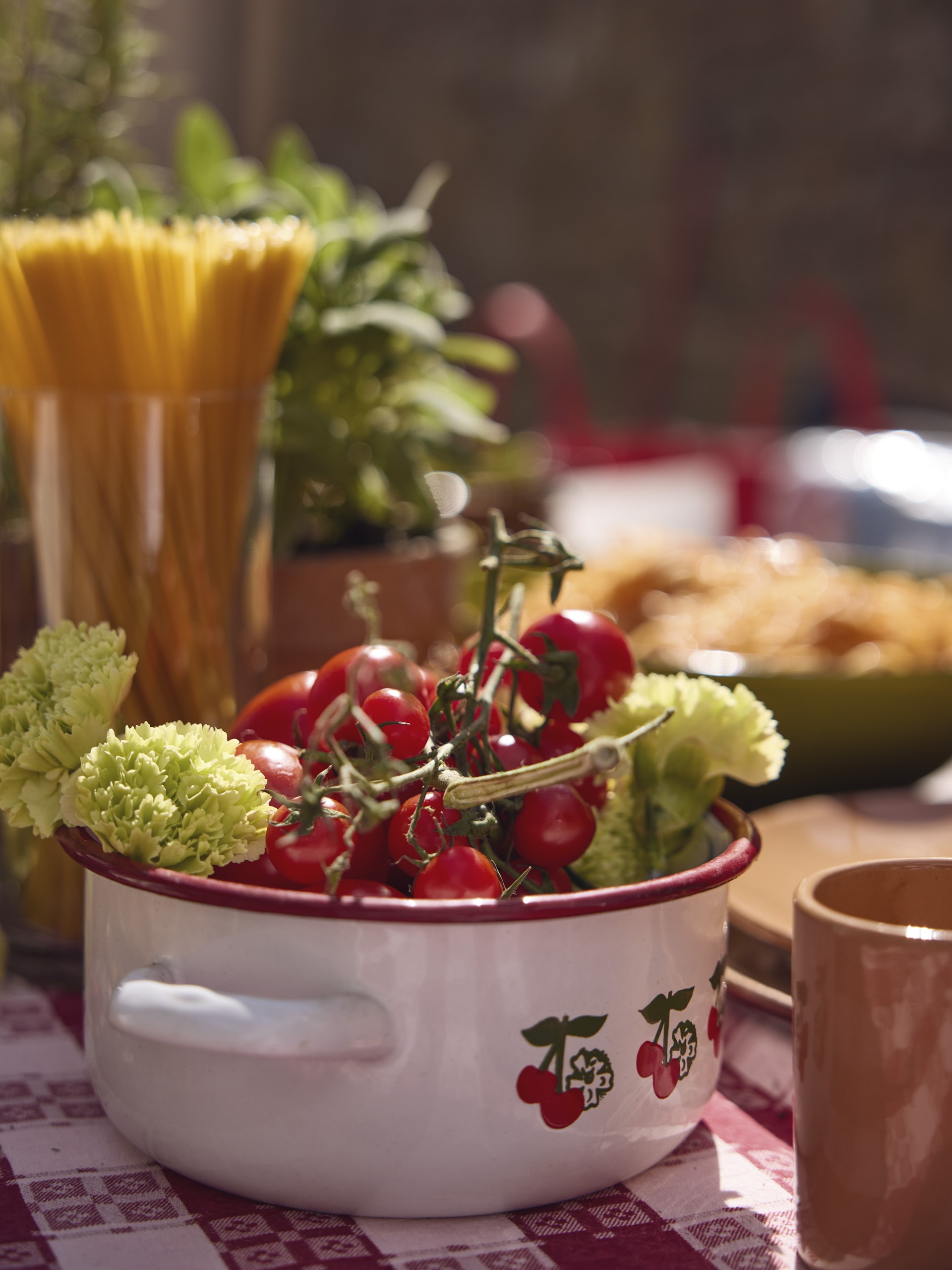 GRADY Grazia Collection Modeca 6116