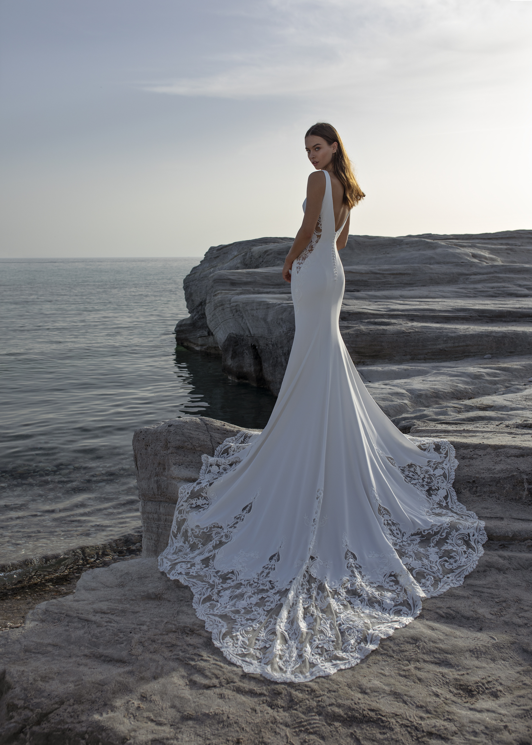 Papillon 2022 Orla Back 1 9306