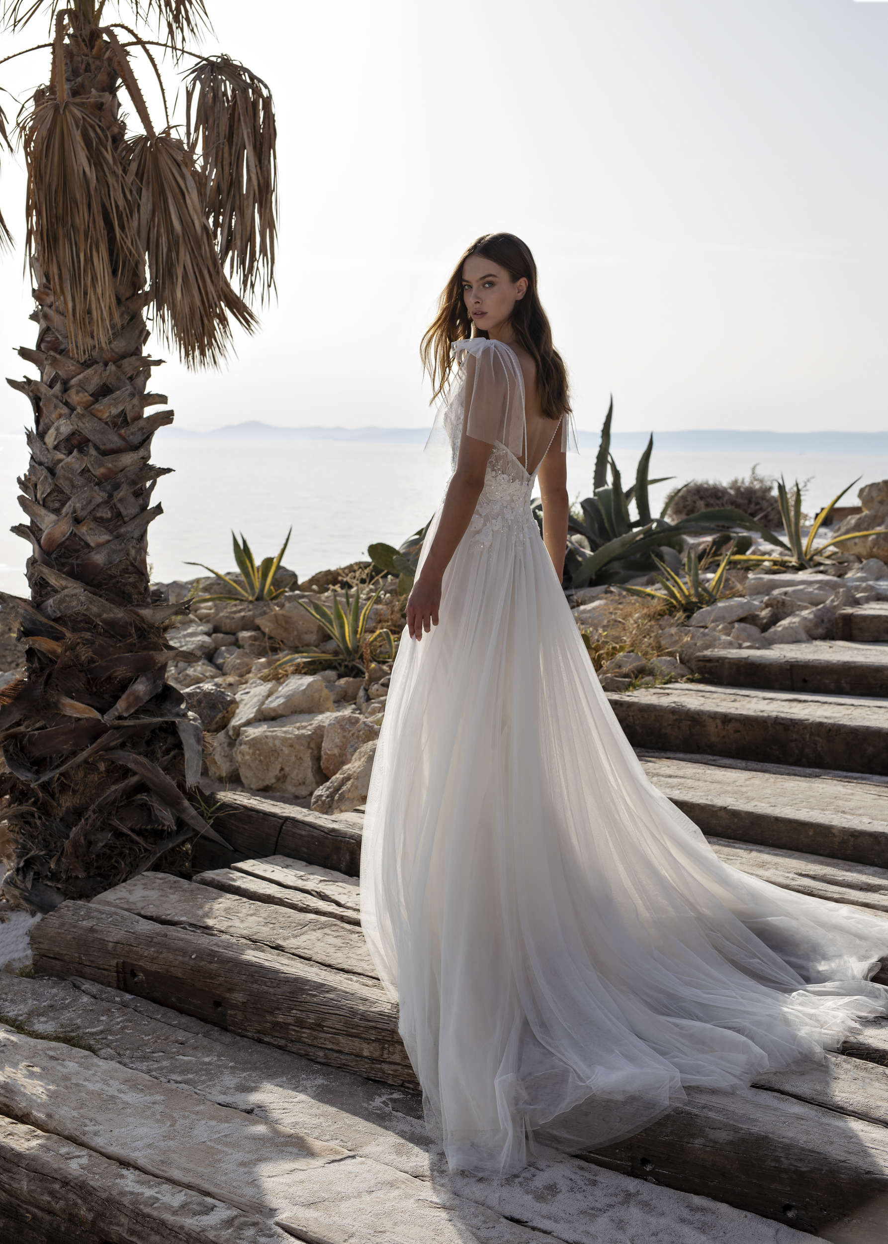 Papillon 2022 Ohanna Back 6218