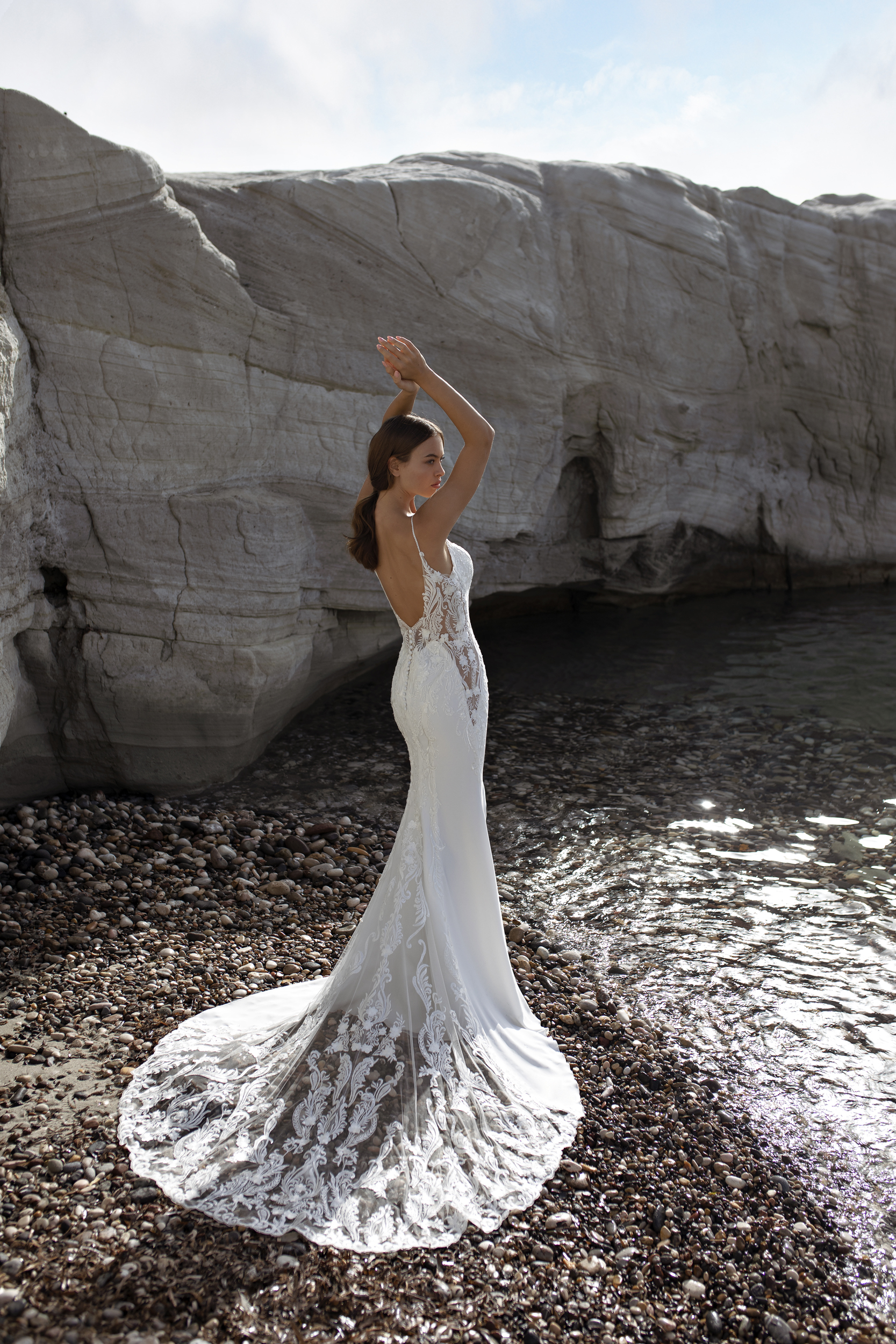 Papillon 2022 Onyx Back 1 0946