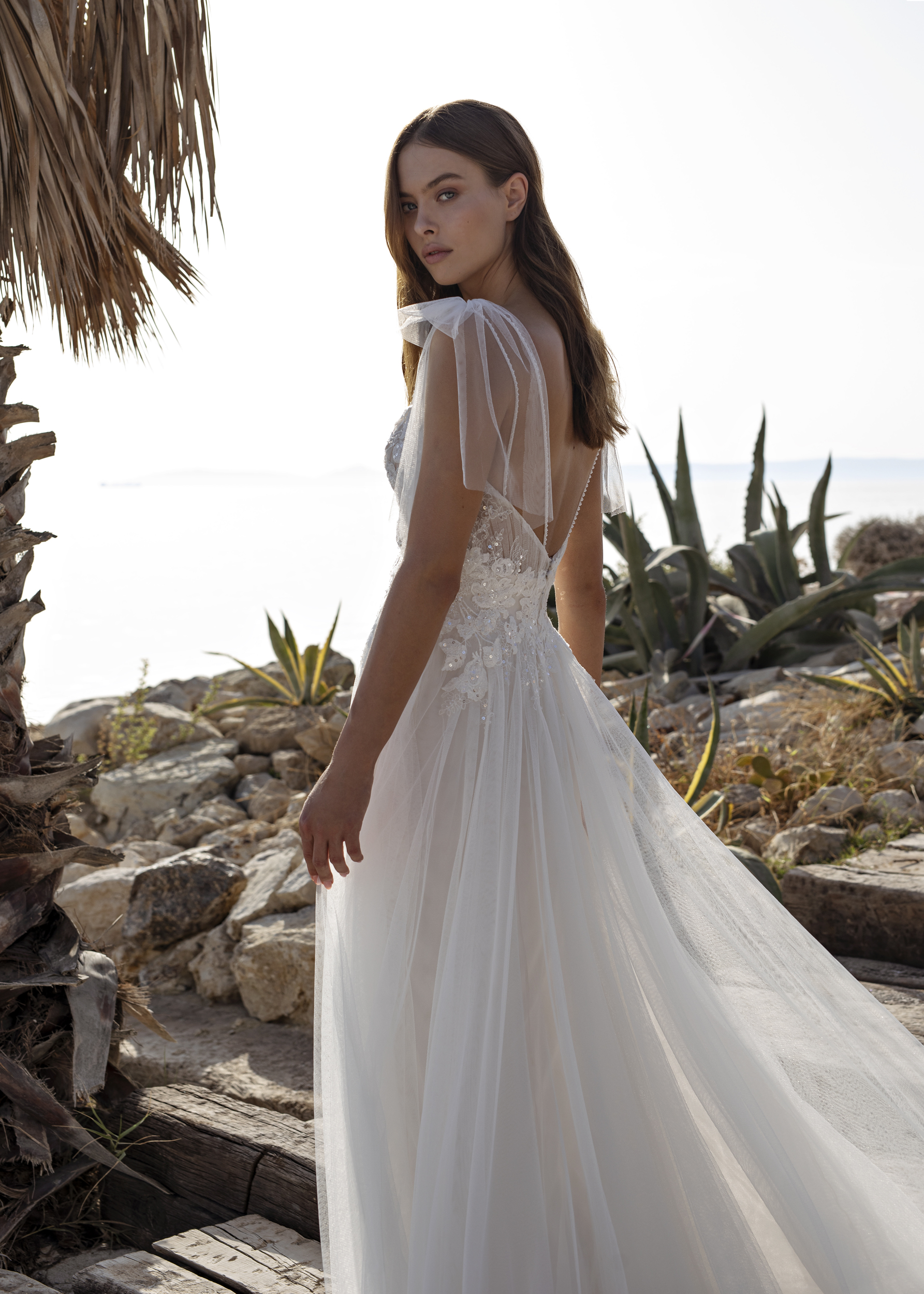 Papillon 2022 Ohanna CU Back 2 6176