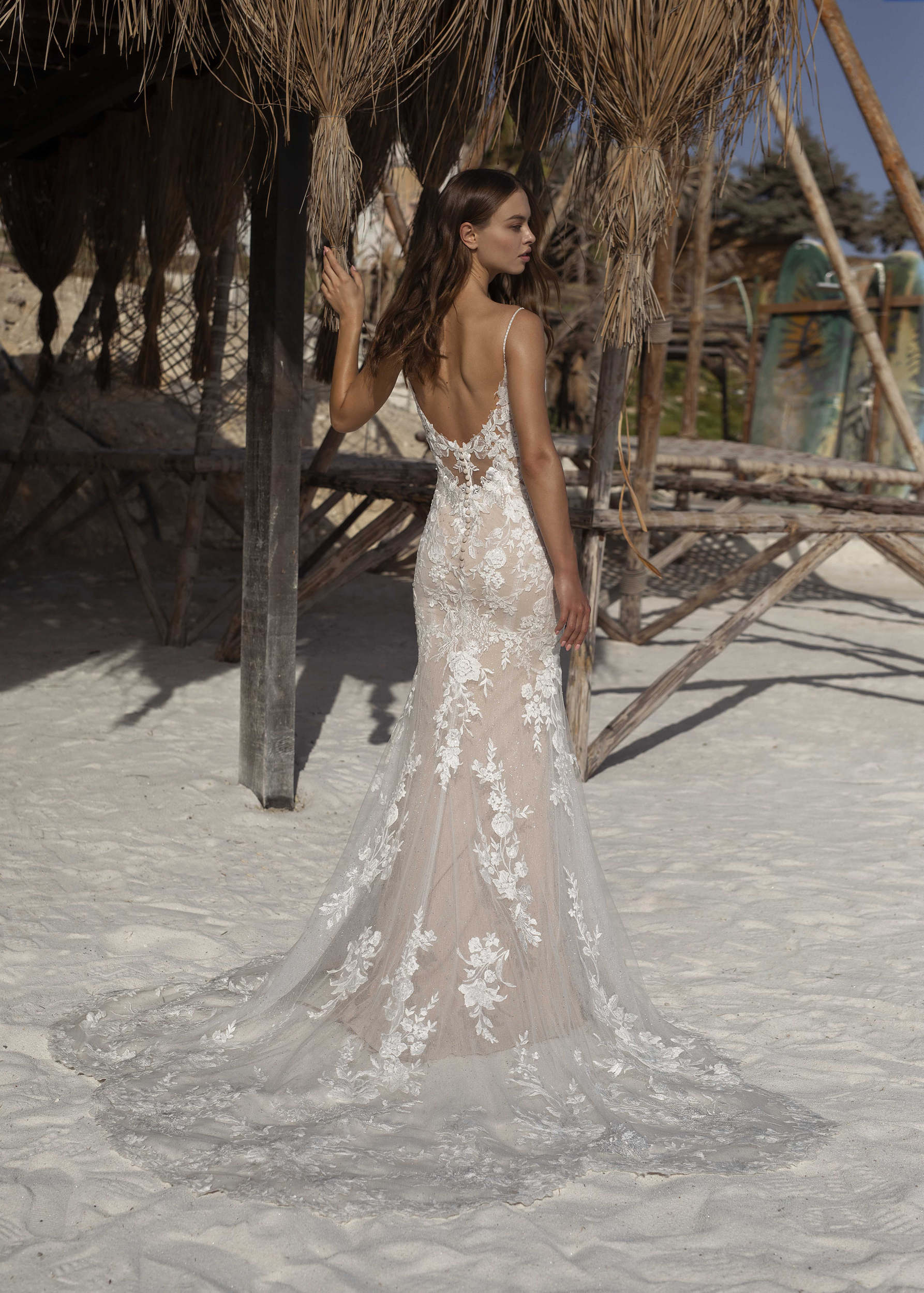 Papillon 2022 Omaya Back 6047