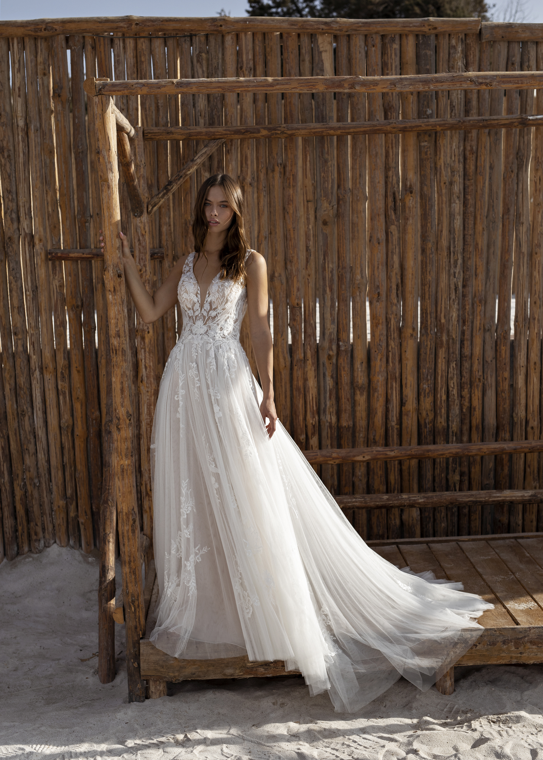 Papillon 2022 Odetta Afront 5790