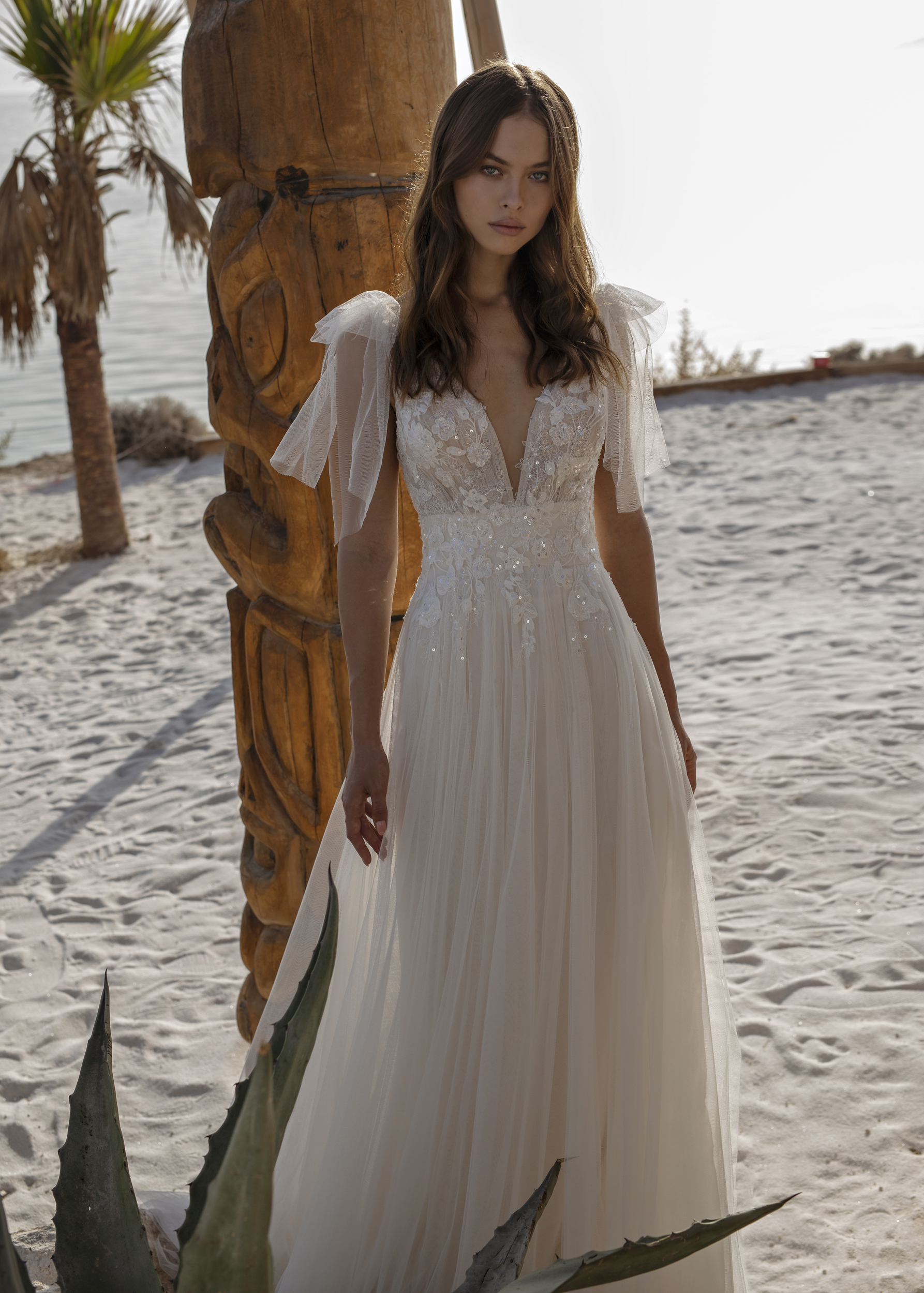 Papillon 2022 Ohanna CU Front 6274