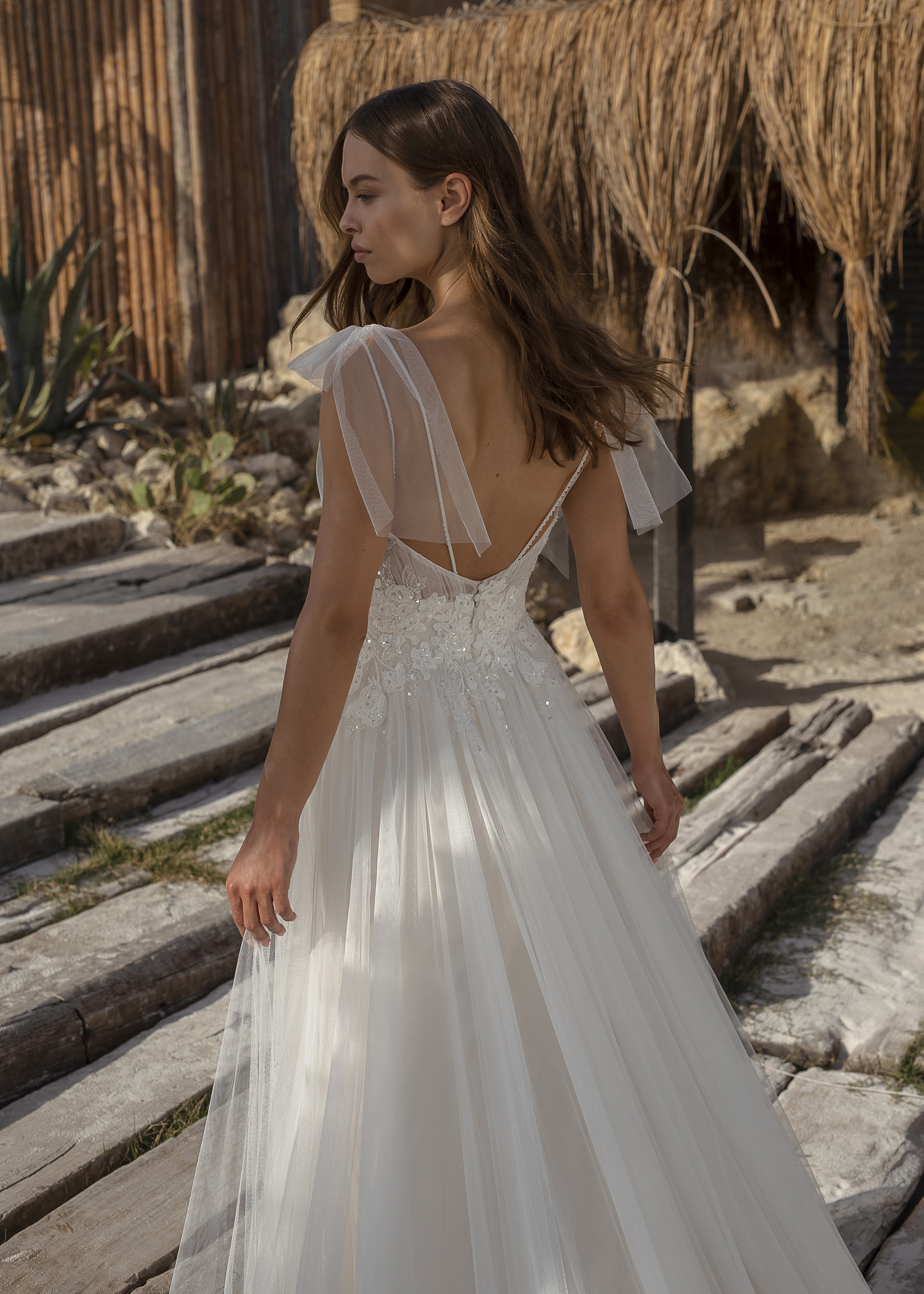 Papillon 2022 Ohanna CU Back 1 6139