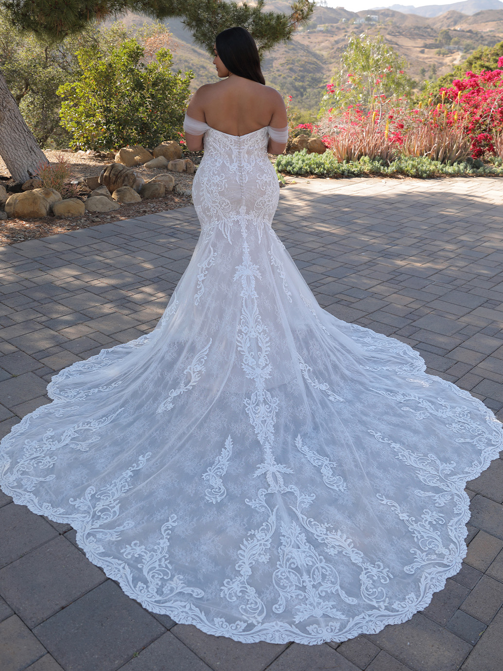 Elysee Edition 2022 Pro Athenais Bac Web