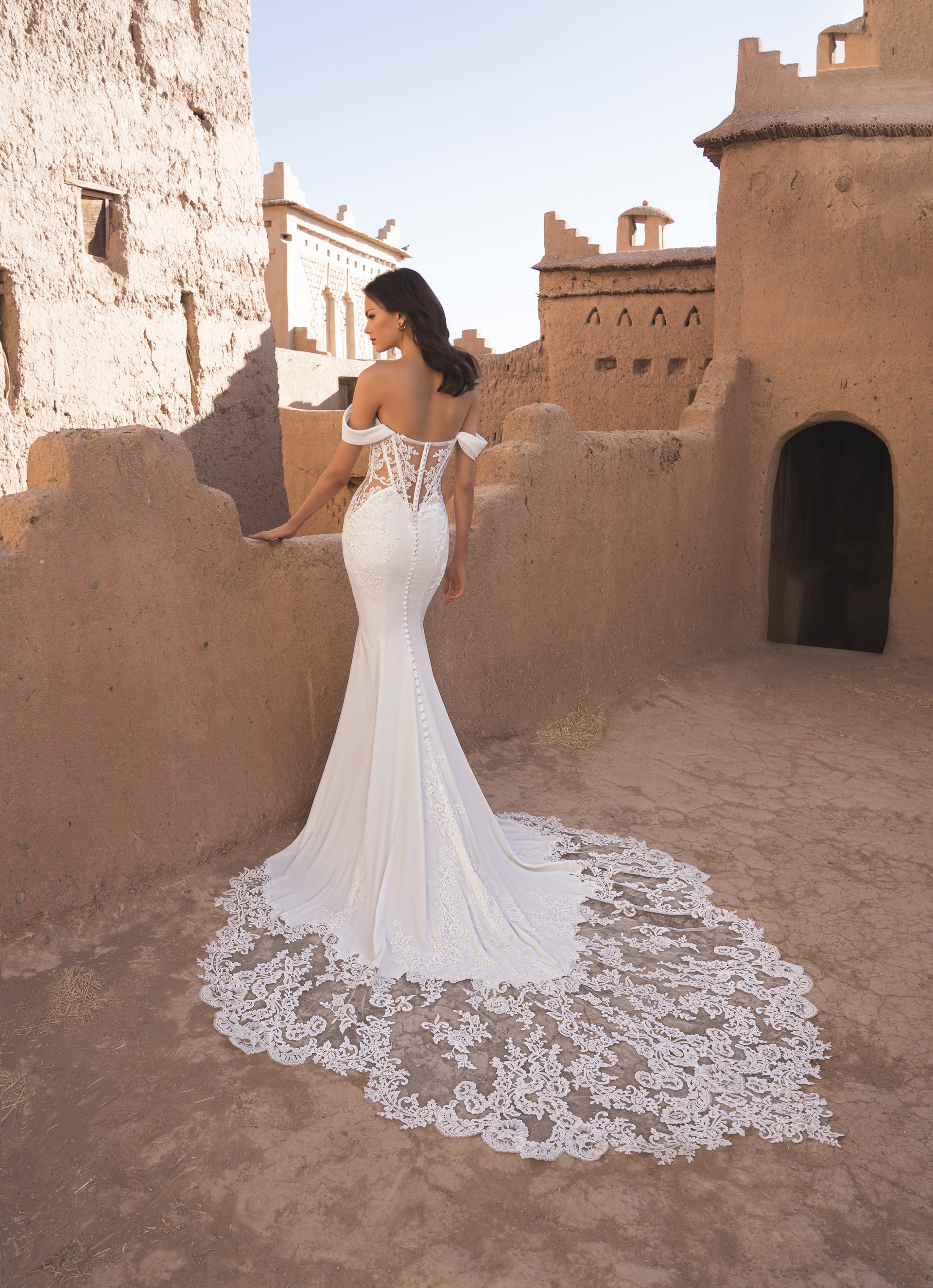 26 Blue PRO TAMMY Bac Print