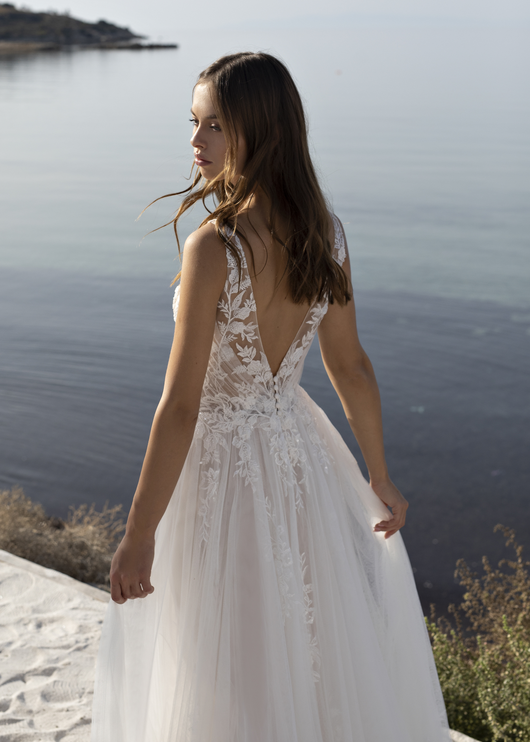 Papillon 2022 Odetta CU Back 5850