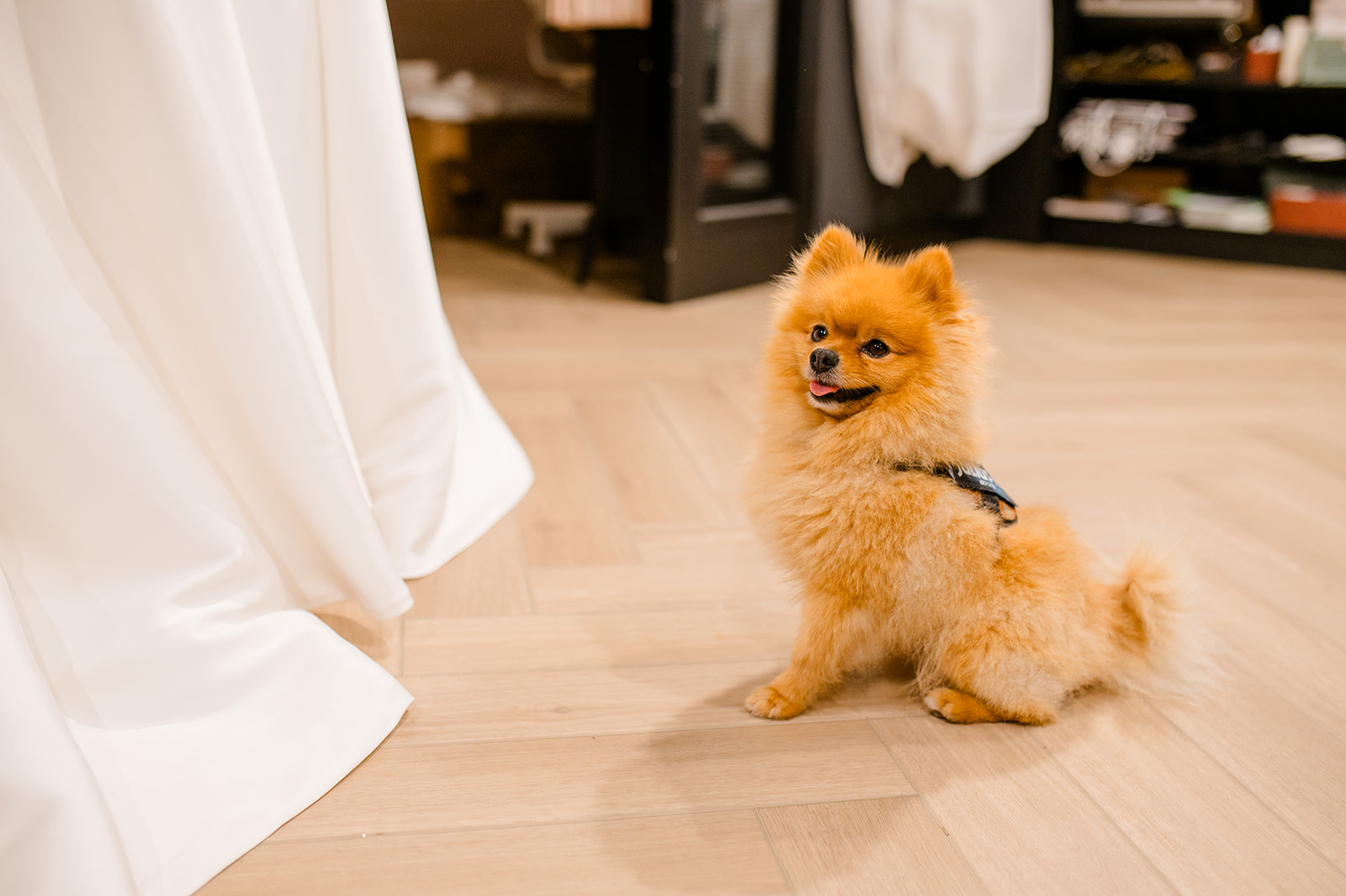 Feliz Novia 12 Websize